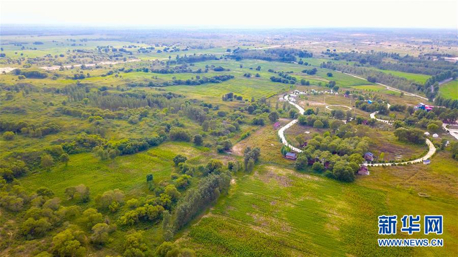 (在習(xí)近平新時代中國特色社會主義思想指引下——新時代新作為新篇章·習(xí)近平總書記關(guān)切事·圖文互動)(1)綠意,在黃沙中鋪展——我國防沙治沙紀(jì)實