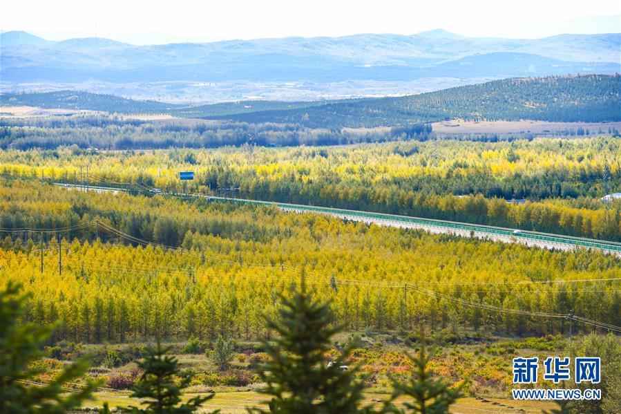 (在習(xí)近平新時代中國特色社會主義思想指引下——新時代新作為新篇章·習(xí)近平總書記關(guān)切事·圖文互動)(7)綠意,在黃沙中鋪展——我國防沙治沙紀(jì)實