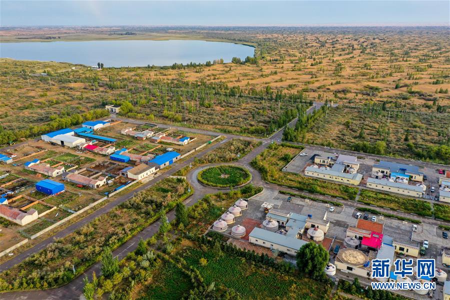 (在習(xí)近平新時代中國特色社會主義思想指引下——新時代新作為新篇章·習(xí)近平總書記關(guān)切事·圖文互動)(12)綠意,在黃沙中鋪展——我國防沙治沙紀(jì)實