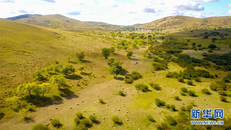 (在習(xí)近平新時代中國特色社會主義思想指引下——新時代新作為新篇章·習(xí)近平總書記關(guān)切事·圖文互動)(4)綠意,在黃沙中鋪展——我國防沙治沙紀(jì)實