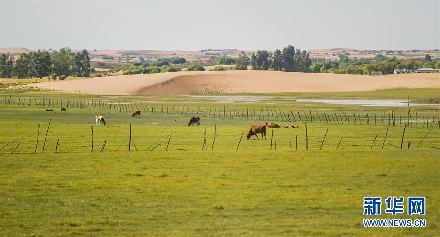 (在習(xí)近平新時代中國特色社會主義思想指引下——新時代新作為新篇章·習(xí)近平總書記關(guān)切事·圖文互動)(9)綠意,在黃沙中鋪展——我國防沙治沙紀(jì)實