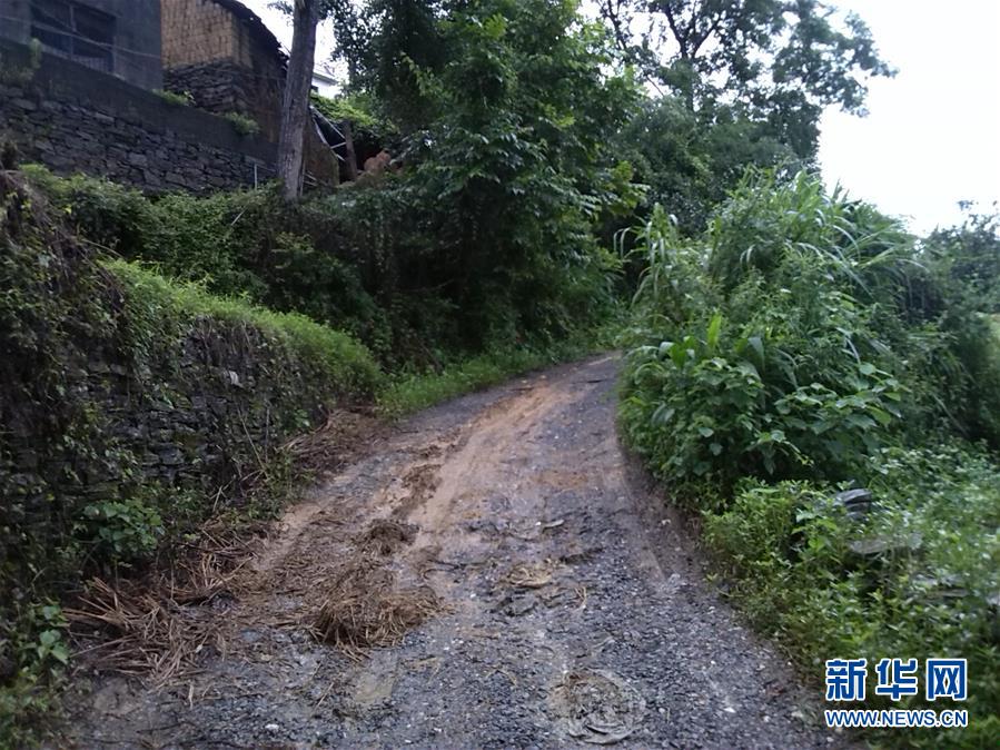 (集中連片特困地區貧困村調研行·圖文互動)(3)百果園里幸福長——湖南鳳凰縣菖蒲塘村脫貧調查