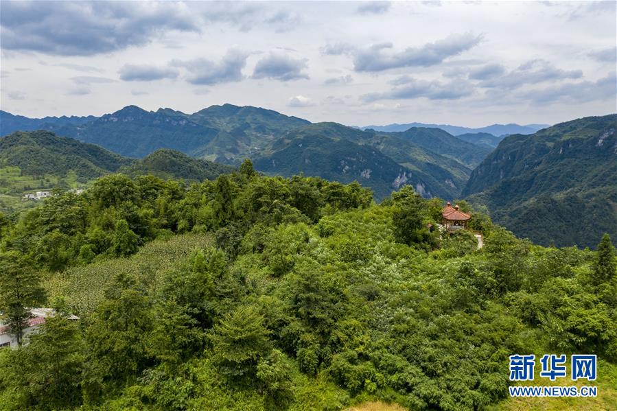 （新華全媒頭條·走向我們的小康生活·決戰決勝脫貧攻堅·圖文互動）（9）昭通之變——全國貧困人口最多的地級市跨越記