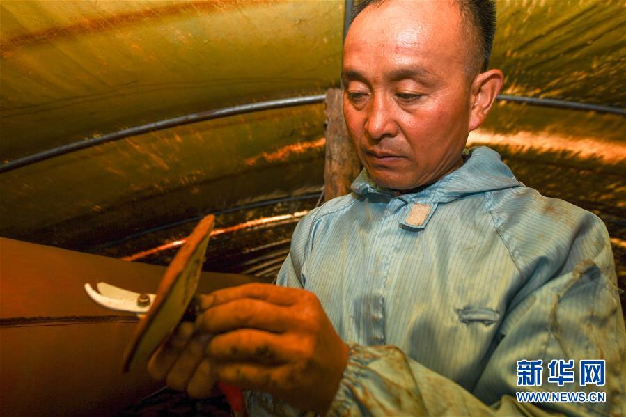 （決戰決勝脫貧攻堅·圖文互動）（3）從“因殘致貧”到“帶頭脫貧”——吉林靖宇有這樣一位“脫貧英雄”