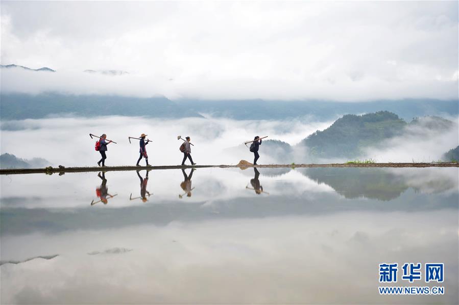 #(新華視界)(7)影像回眸“十三五”——綠色發展