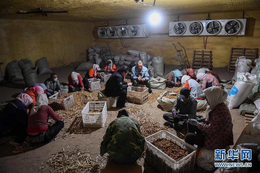 (習近平的小康故事·圖文互動)(8)“我很期盼的一件事,就是讓鄉親們飽餐一頓肉”——習近平和脫貧攻堅的故事