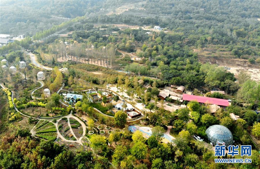 （全面建成小康社會“百城千縣萬村調研行”·圖文互動）（2）青島西海岸新區以“生態酵母”激活鄉村振興