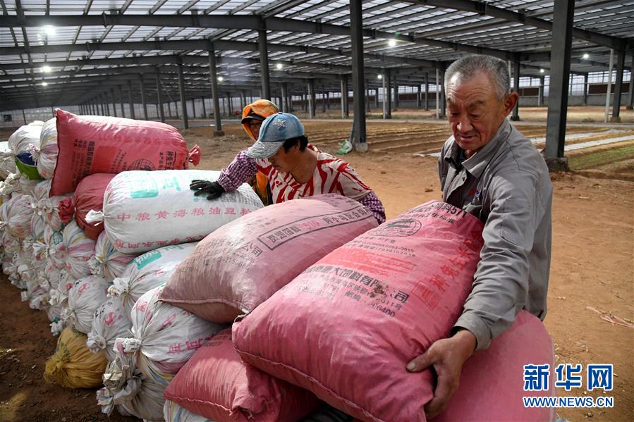 （全面建成小康社會“百城千縣萬村調研行”·圖文互動）（6）青島西海岸新區以“生態酵母”激活鄉村振興