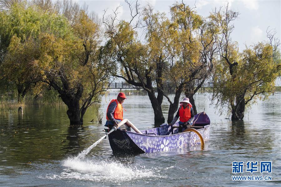 (新華全媒頭條·五中全會精神在基層·圖文互動)(9)奮發新青年 逐夢新征程——各地青年學習貫徹落實五中全會精神觀察