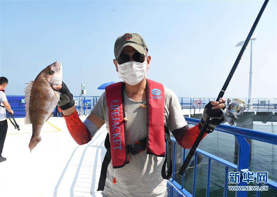 (新華全媒頭條·圖文互動(dòng))(4)“拔”海起牧場(chǎng) “耕”海新牧歌