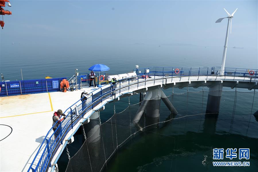 (新華全媒頭條·圖文互動(dòng))(5)“拔”海起牧場(chǎng) “耕”海新牧歌