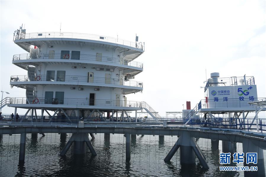 (新華全媒頭條·圖文互動(dòng))(6)“拔”海起牧場(chǎng) “耕”海新牧歌