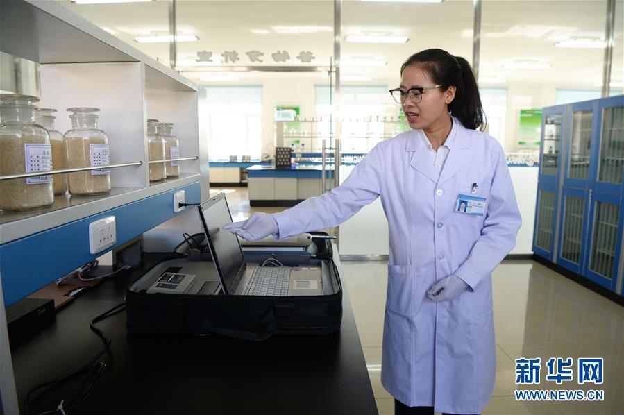 (新華全媒頭條·圖文互動)(6)奮力書寫東北振興的時代新篇——習(xí)近平總書記調(diào)研東北三省并主持召開深入推進東北振興座談會紀實