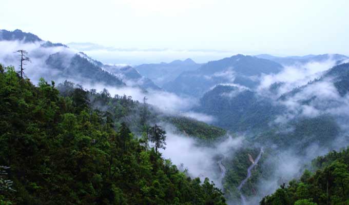 廣東乳源、廣東乳陽林場、云南華寧葫蘆口電站