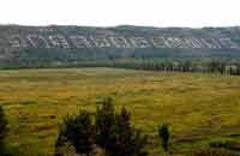 塞上榆林實現“綠色轉身”