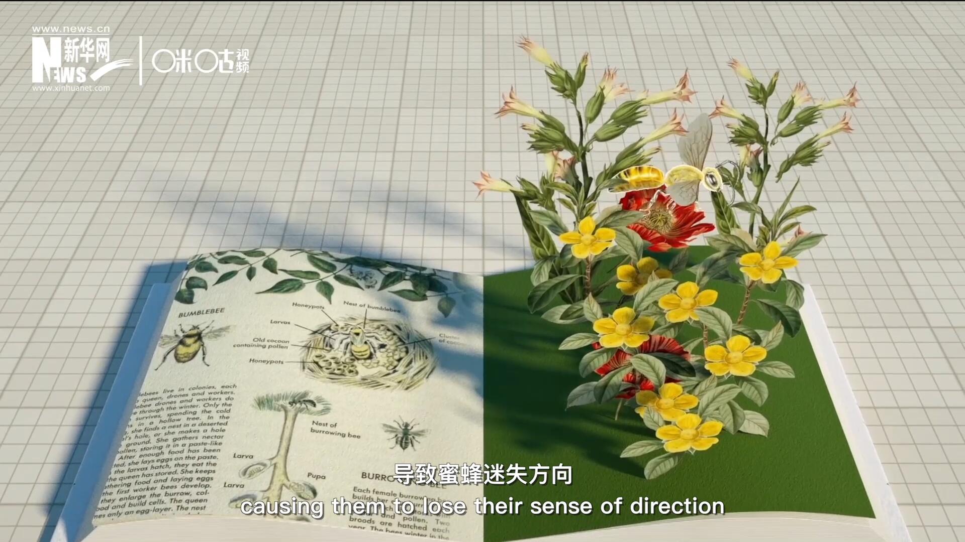 殺蟲劑會(huì)破壞蜜蜂的神經(jīng)系統(tǒng)，導(dǎo)致蜜蜂迷失方向，無(wú)法回到蜂房，還會(huì)降低蜜蜂的抵抗力