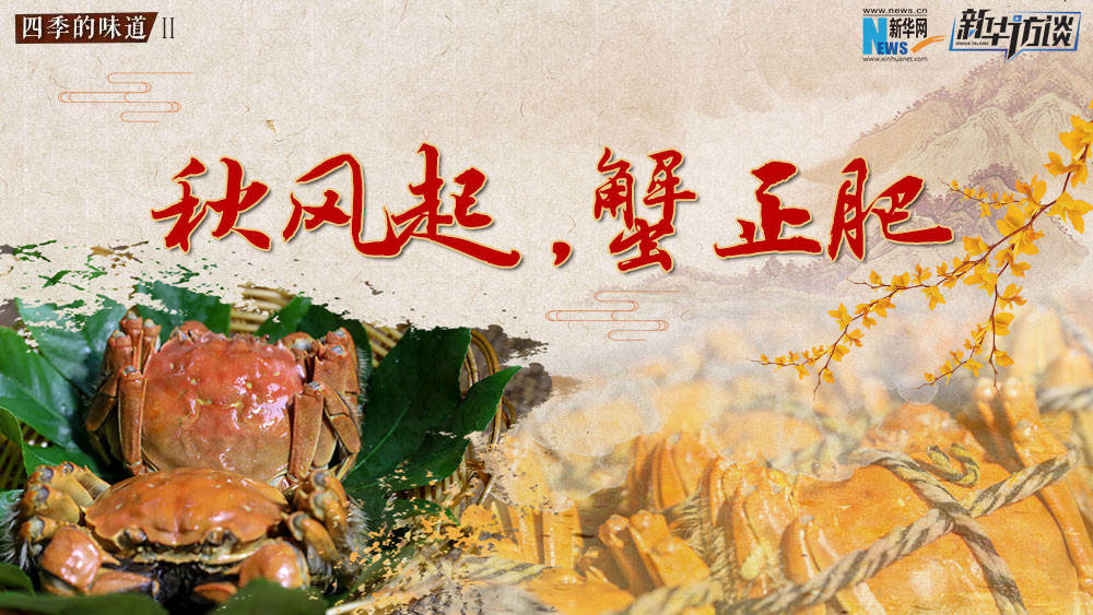 秋風起，蟹正肥