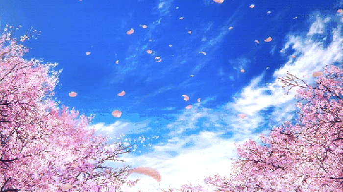 寧波這個地方早櫻花開成海，滿足你對春天的所有想象