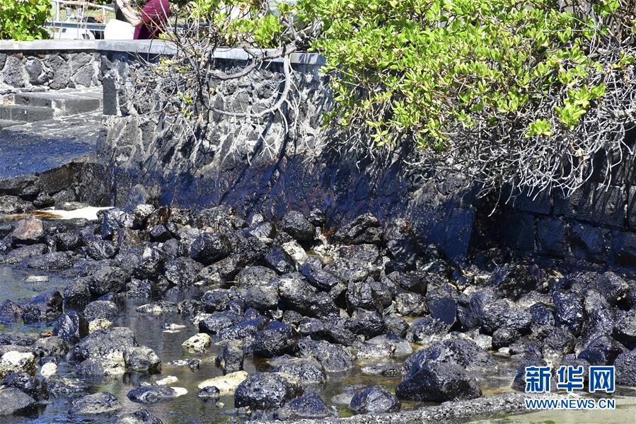(國際)(1)毛里求斯總理稱擱淺貨船已停止漏油 但船體有進一步破裂風險