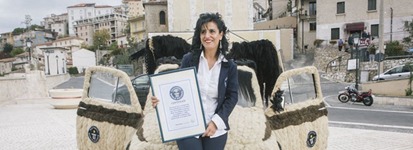 意造型師為愛車做“發型” 耗100公斤頭發獲吉尼斯世界紀錄稱號