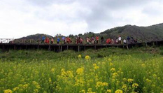 黑龍江游客走進新疆阿勒泰“明星”景區感受北疆風光