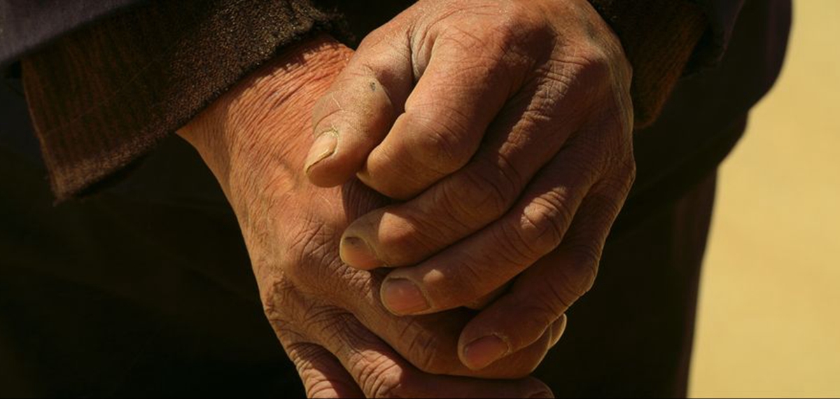 正式發(fā)布！《攜手，為人民》中國共產黨與世界政黨領導人峰會暖場片