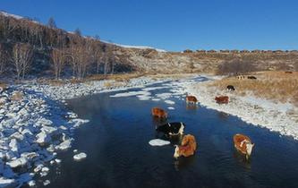 嚴寒中的“不凍河”
